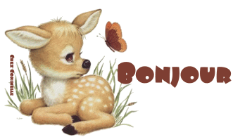 Bonjour mes ami(e)s